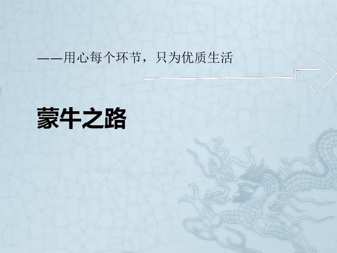 蒙牛集團(tuán)市場(chǎng)營(yíng)銷策劃案