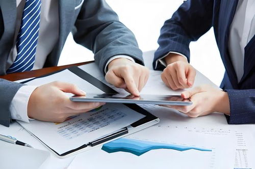 湖北企服企業服務信用管理咨詢增強企業的抗風險能力