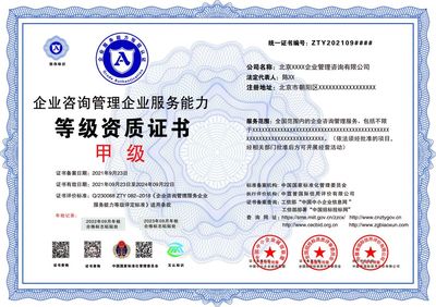 企業(yè)咨詢管理企業(yè)服務能力 等級證書
